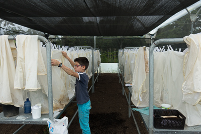 Volontariats et woofing